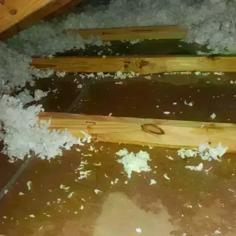 Attic Water Damage in Lansing, NY