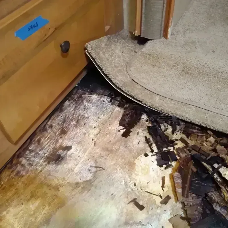 Wood Floor Water Damage in Lansing, NY